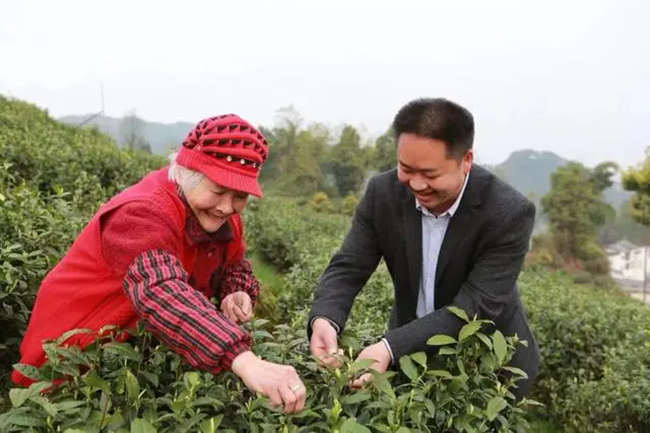 【大竹白茶】廖红军：做白茶产业发展的尖兵