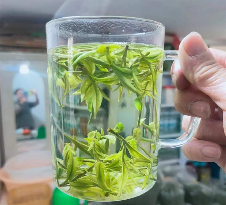 安吉白茶放冰箱冷藏还是冷冻好，安吉白茶怎么保存呢？