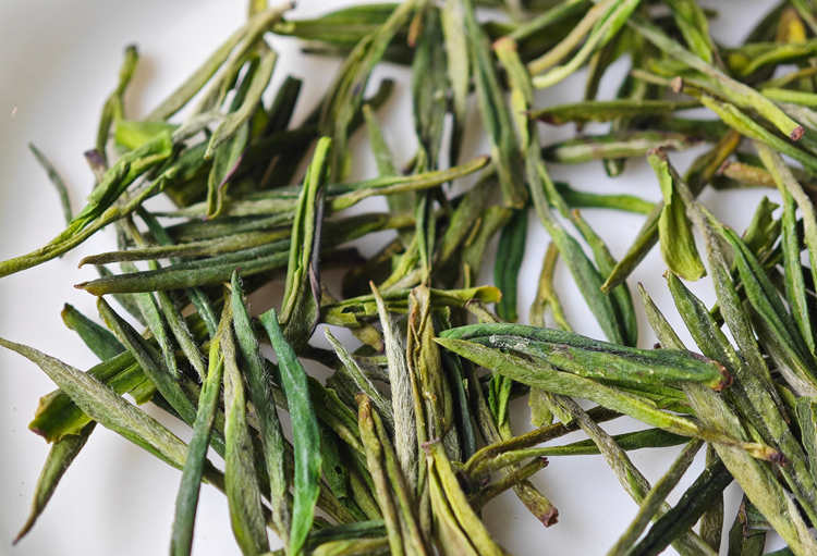 浙江安吉白茶属于什么档次，安吉白茶是什么颜色