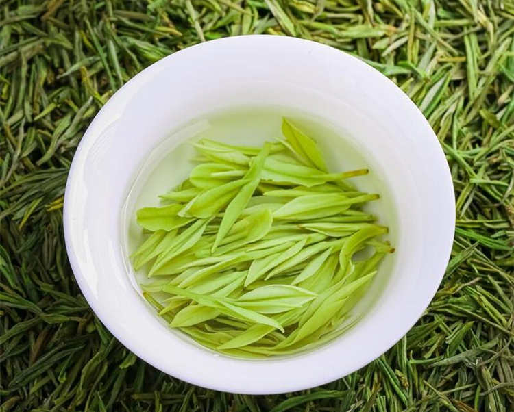 安吉白茶是什么茶叶做的，正宗安吉白茶怎么区分