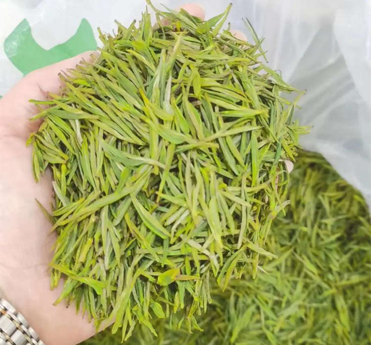 安吉白茶和福鼎白茶的功效一样吗，福鼎白茶好还是安吉白茶好喝