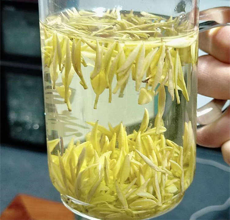 安吉白茶为何叫白茶，3000元一斤的安吉白茶是什么档次