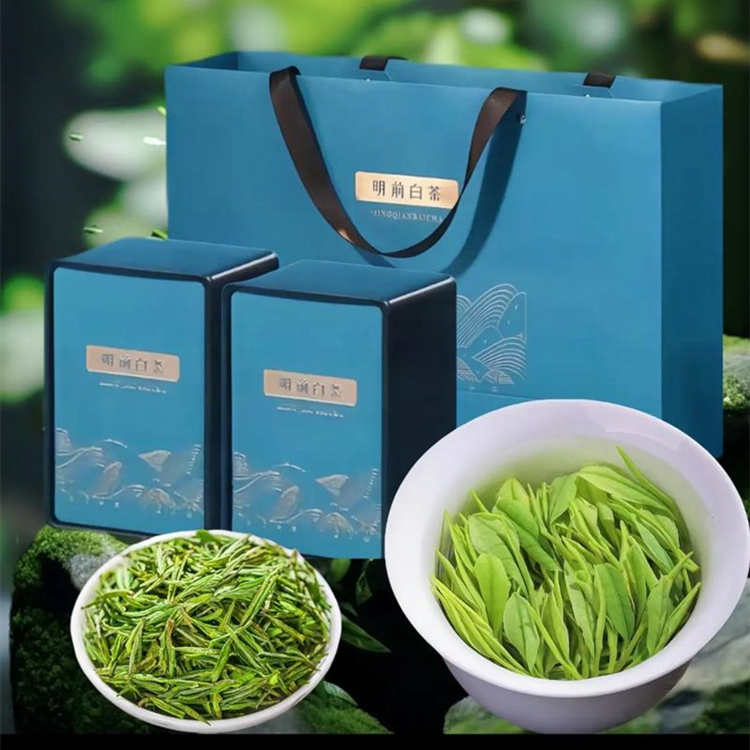 安吉白茶的功效与作用及食用方法介绍