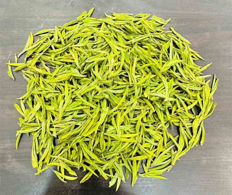 安吉白茶产地哪里的最正宗，哪里的安吉白茶口感最好