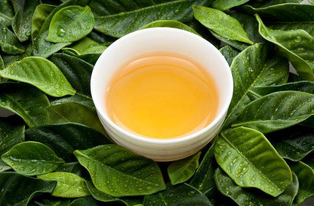 ??茶叶水可以给植物浇水吗，??茶叶水浇花可以吗