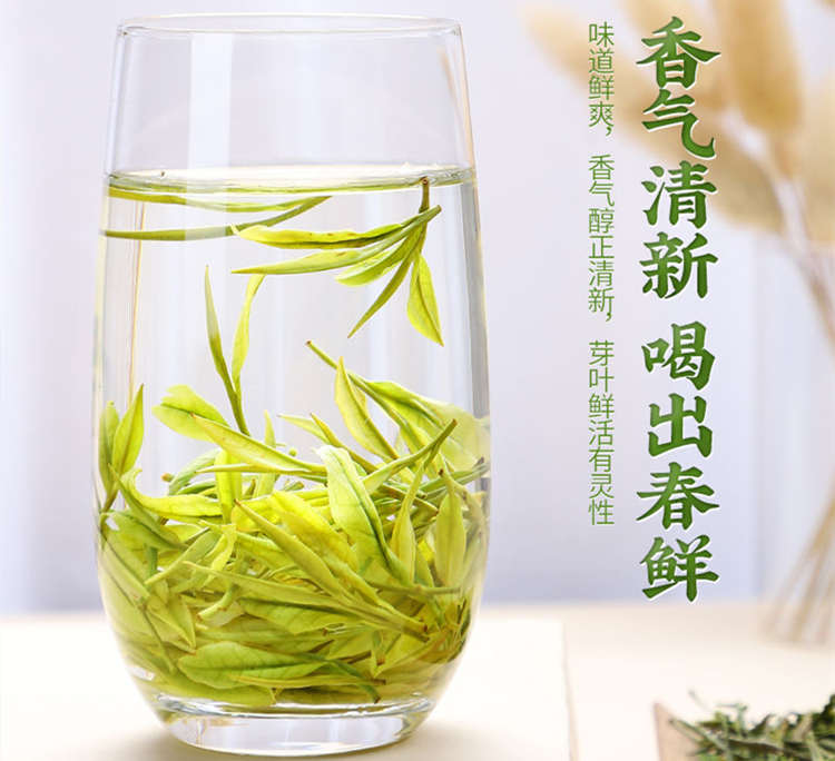 ??安吉白茶口感怎么样，??浙江安吉白茶图片土特产简介