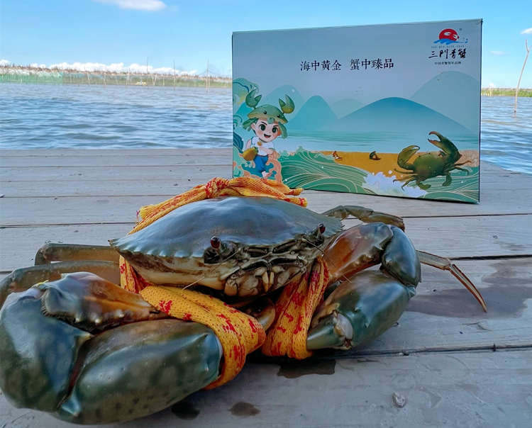 ??台州三门青蟹怎么样，??浙江三门青蟹图片土特产简介