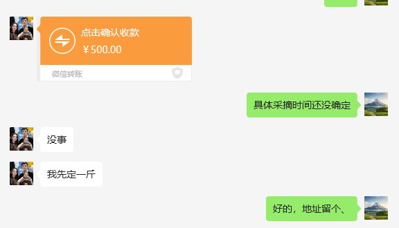 2025年安吉白茶第一笔订单