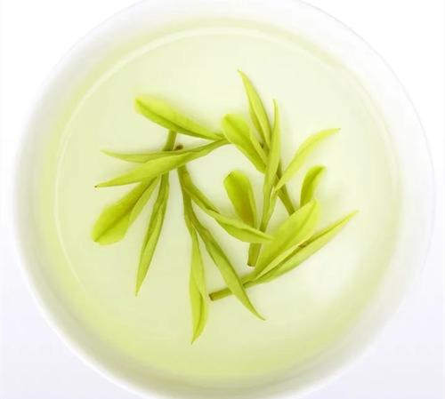 安吉白茶为什么叫白茶，安吉白茶属于绿茶吗？