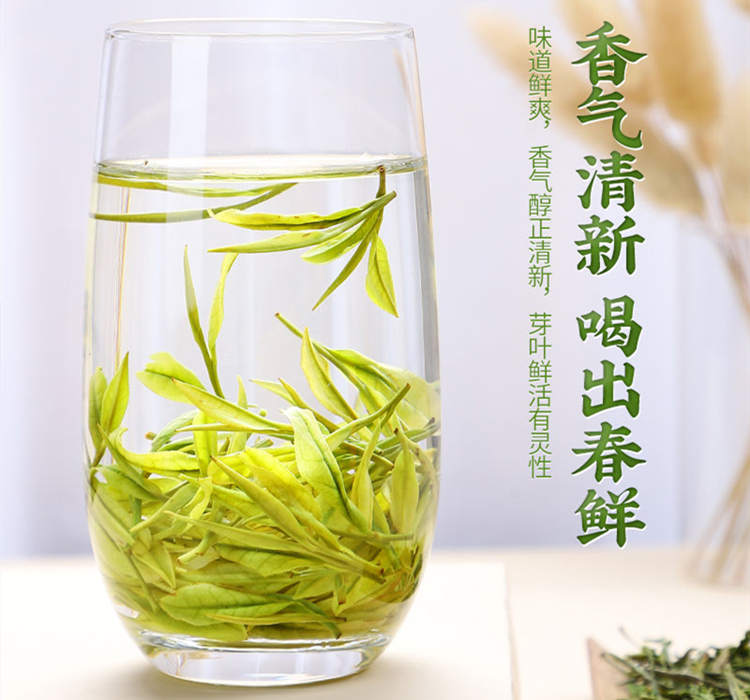 安吉白茶冲泡几次最好，浙江安吉白茶冲泡方法技巧