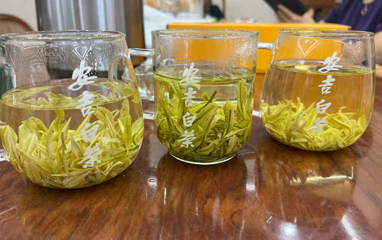 安吉白茶盖碗冲泡方法步骤技巧