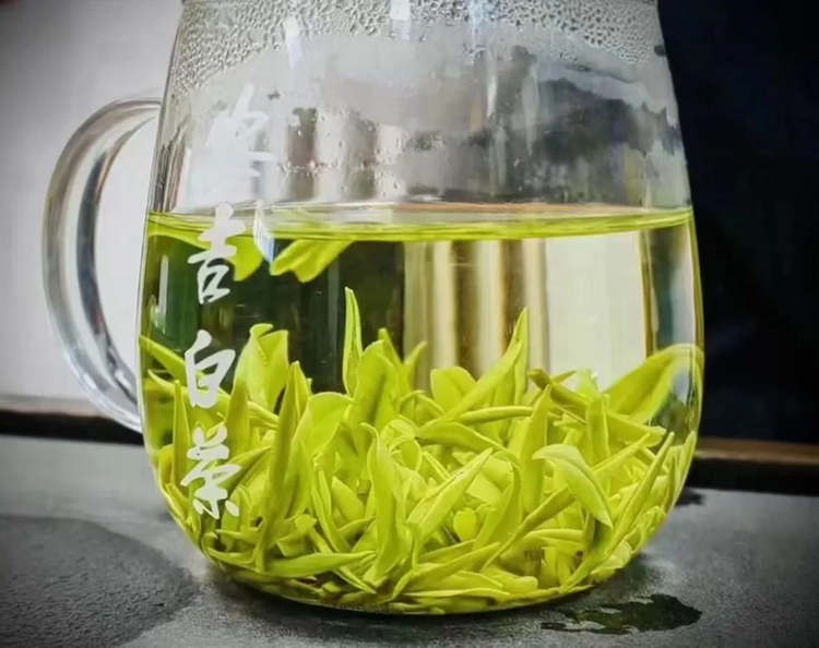 浙江安吉白茶的作用和功效与作用简介