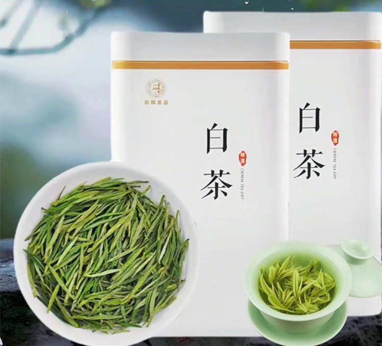 安吉白茶制茶属于什么工艺，安吉白茶茶树品种
