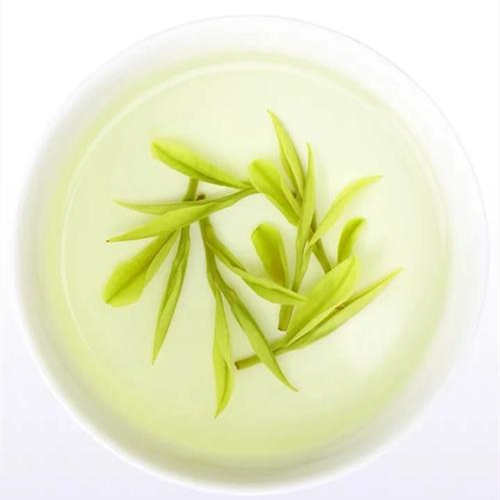 安吉白茶属于绿茶吗，安吉白茶不是白茶