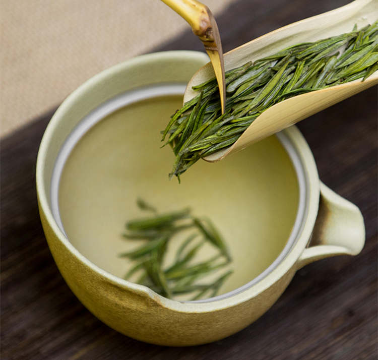 安吉白茶味道为什么那么淡，安吉白茶口感是怎样的