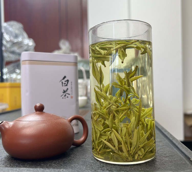 安吉白茶为什么这么贵，安吉白茶价格多少