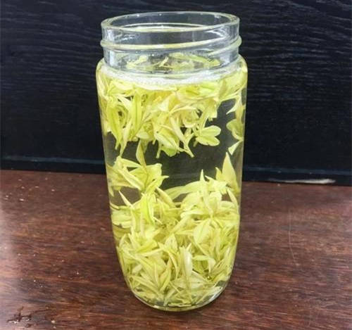 安吉奶白茶的功效与作用简介