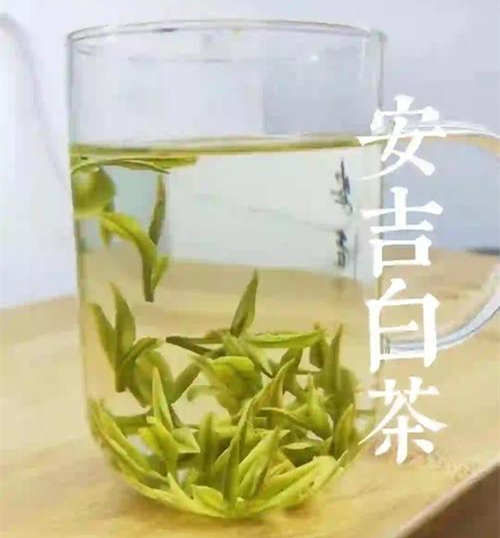 安吉白茶茶汤是什么颜色