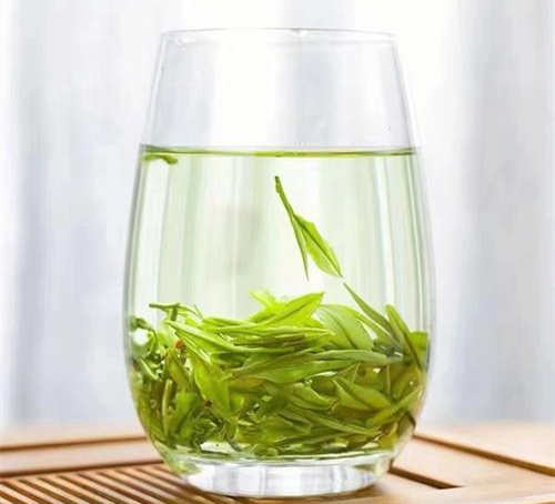 安吉白茶新茶几月份上市，安吉白茶什么时候采摘