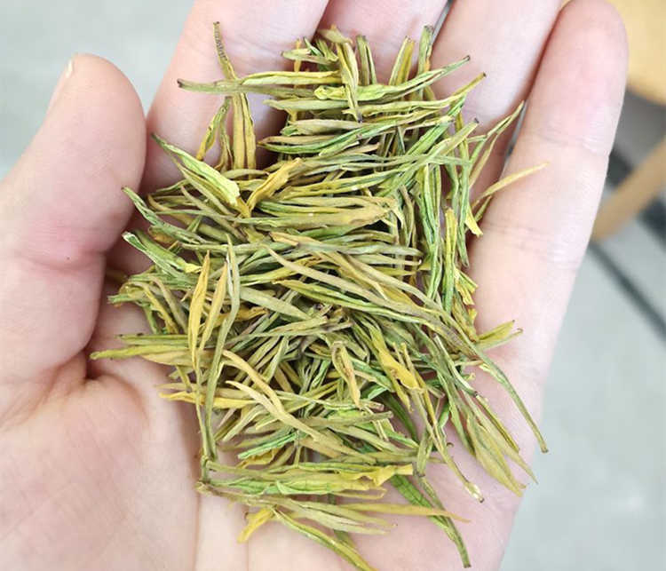 正宗安吉白茶怎么区别等级