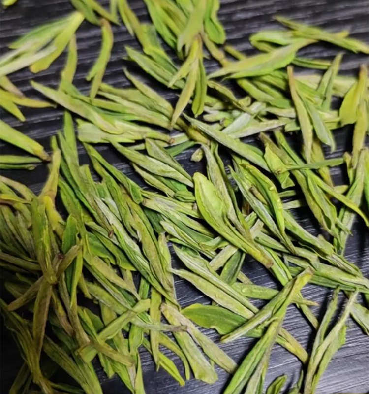 安吉白茶怎么辨别档次，安吉白茶等级划分方法