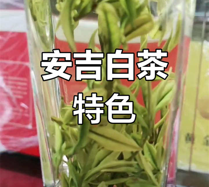 正宗安吉白茶的口感是怎么样的