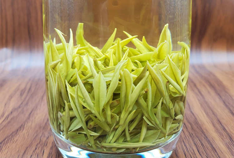安吉皇金芽怎么冲泡好喝