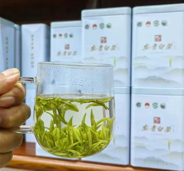 安吉白茶的保质期限是多久