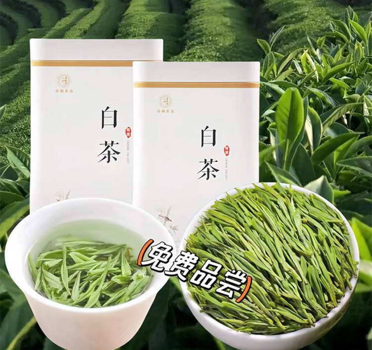 安吉白茶产地在哪个省，安吉白茶属于哪里的特产