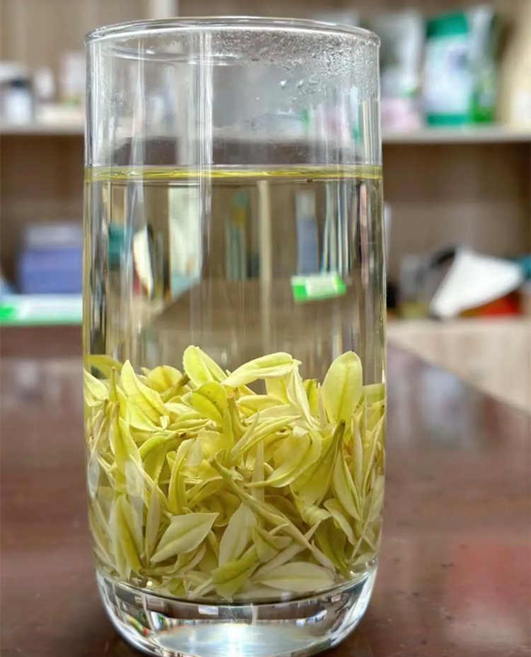 安吉奶白茶的功效与作用有哪些