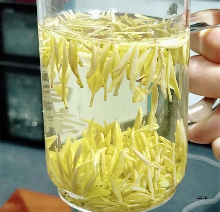 安吉奶白茶适合什么人喝，安吉皇金芽喝茶禁忌