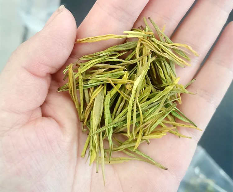 安吉奶白茶的冲泡方法分享