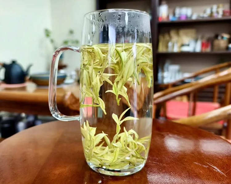 安吉皇金芽的特点有哪些