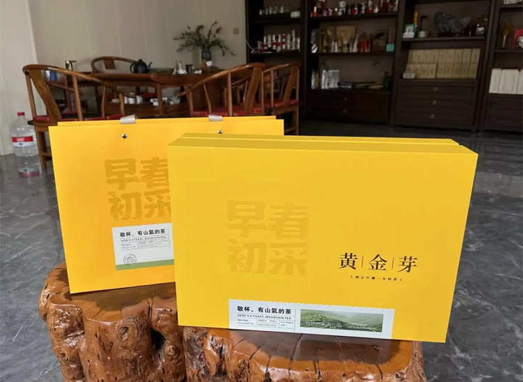 安吉皇金芽奶白茶口感是怎样的