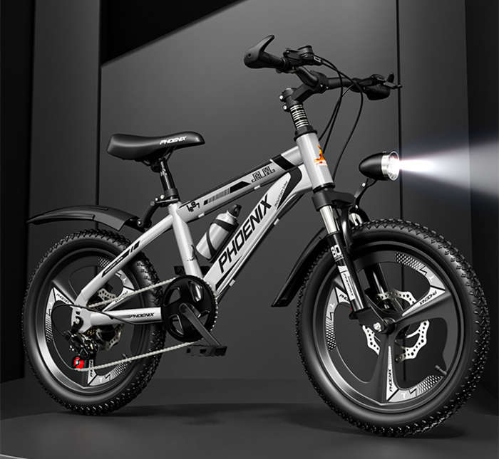 凤凰牌儿童自行车6-12岁小学生山地车单车