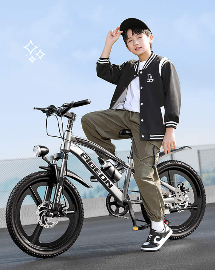 飞鸽牌儿童自行车6-12到8-10到15岁青少年变速山地车