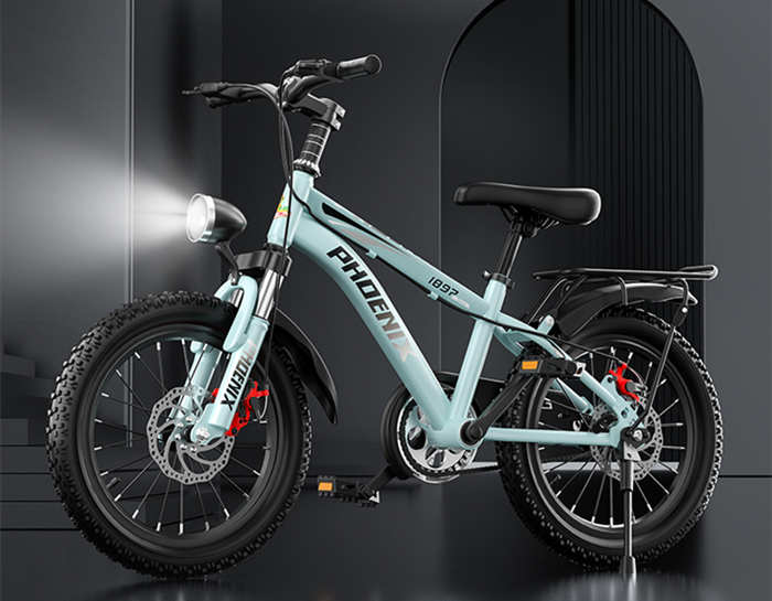 凤凰牌儿童自行车双碟刹减震山地车学生脚踏车